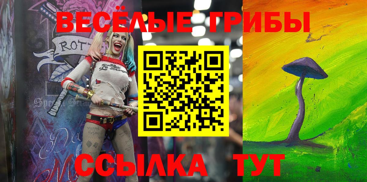 Заречный  Псилоцибиновые грибы Psilocybine cubensis  Галлюциногенные грибы Magic Shrooms  Вход с VPN 